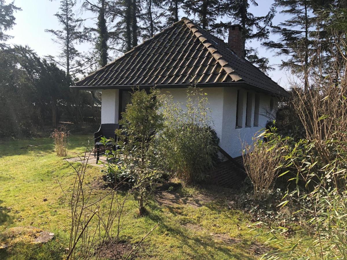 Kleiner Wattprinz Nebel Exterior foto